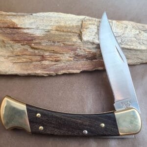 Buck 110 Folding Hunter Knife - Ebony