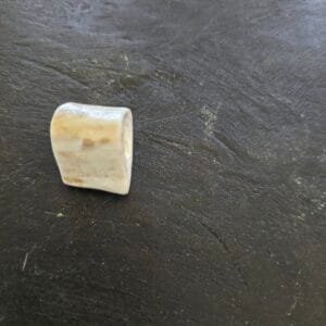 Large Custom Made Lanyard Beads in Deer Antler (3/4")